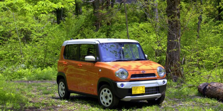 スズキ ハスラーの在庫検索結果 レディバグ 埼玉の軽未使用車専門店 スズキ ハスラーの在庫検索結果 レディバグ 埼玉の軽未使用車専門店