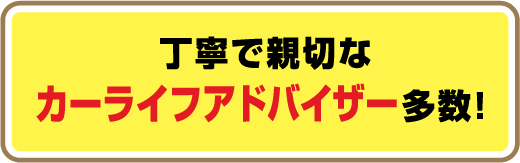 丁寧で親切なカーライフアドバイザー多数!