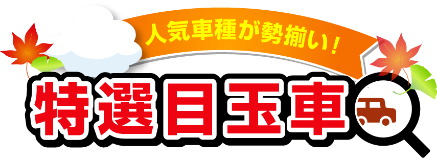 人気車種が勢揃い！特選目玉車