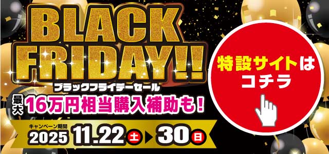 レディバグ ブラックフライデーセール　キャンペーン期間：2025年11月22日(土)～11月30日(日)