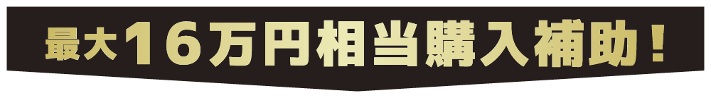 最大16万円相当購入補助！！