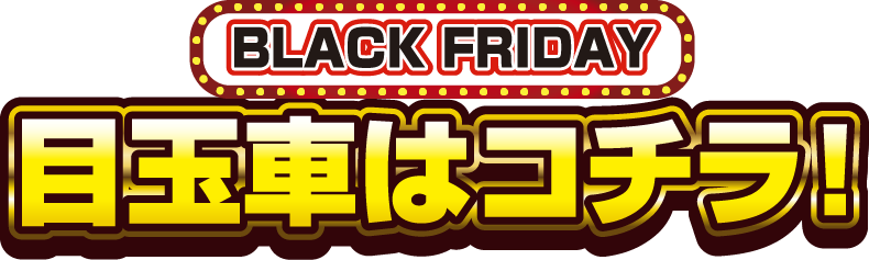 レディバグブラックフライデーセール 目玉車はコチラ！