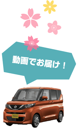 動画でお届け！