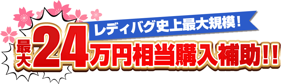 レディバグ史上最大規模！最大24万円相当購入補助！