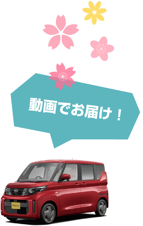 動画でお届け！