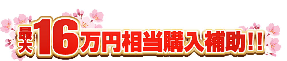 レディバグ史上最大規模！最大16万円相当購入補助！！