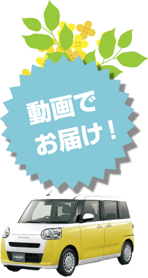 動画でお届け！
