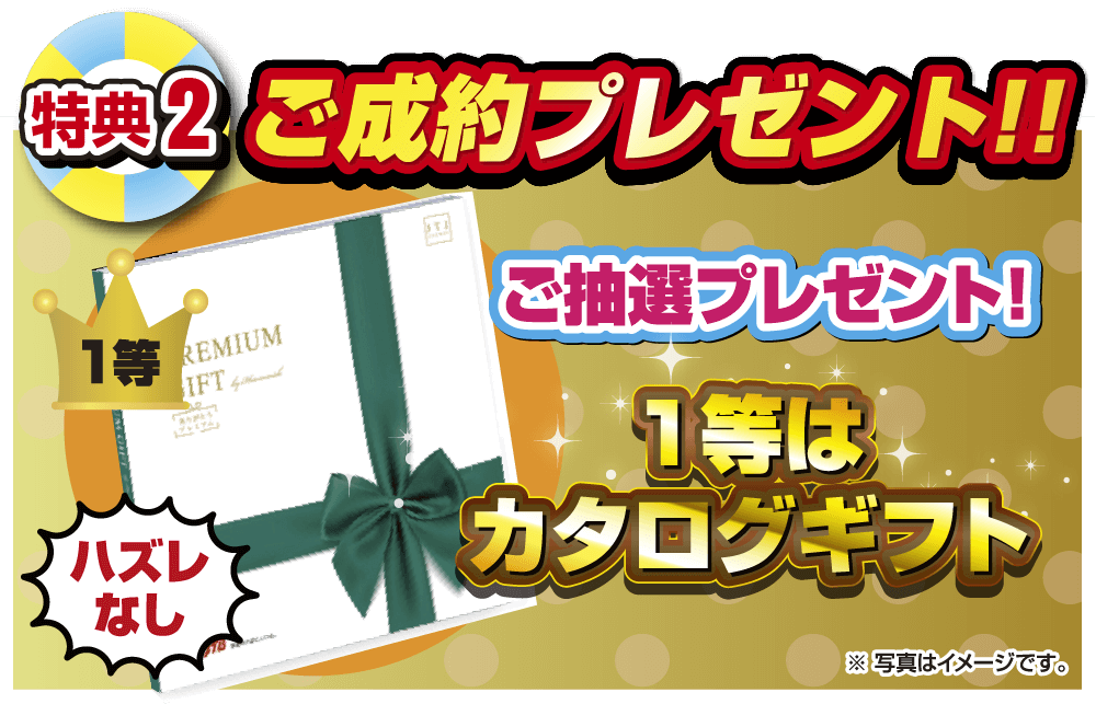 ご来場プレゼント！！選べる詰め合わせ！！