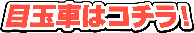 レディバグ創業記念 目玉車はコチラ！