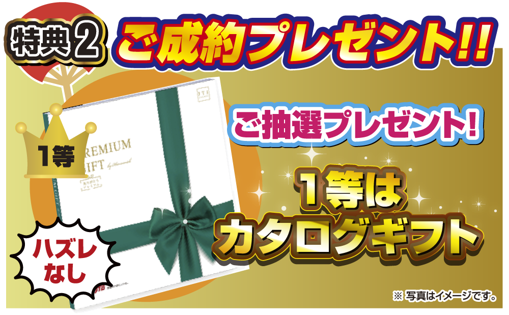 ご来場プレゼント！！選べる詰め合わせ！！