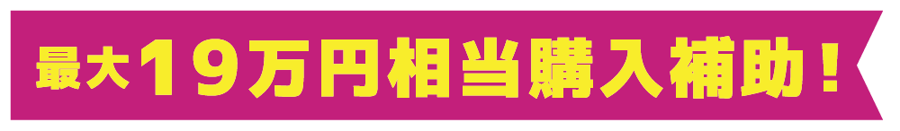 最大19万円相当購入補助！！