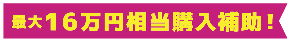最大17万円相当購入補助！！