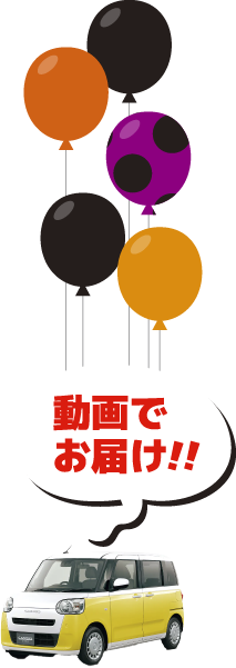 動画でお届け！