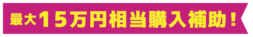 最大15万円相当購入補助！！
