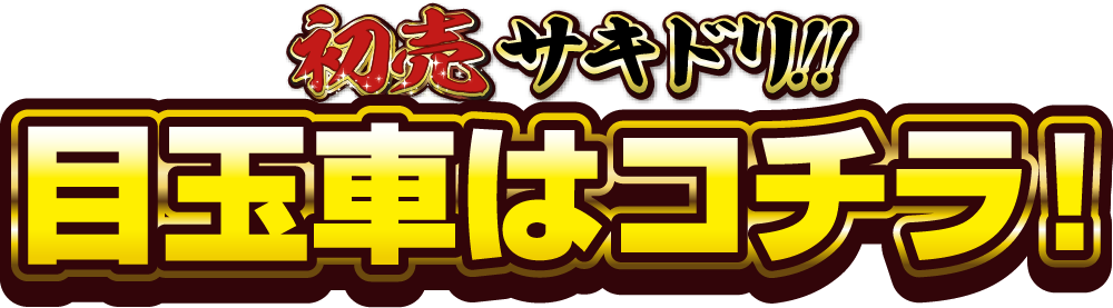 レディバグ初売りサキドリ 目玉車はコチラ！