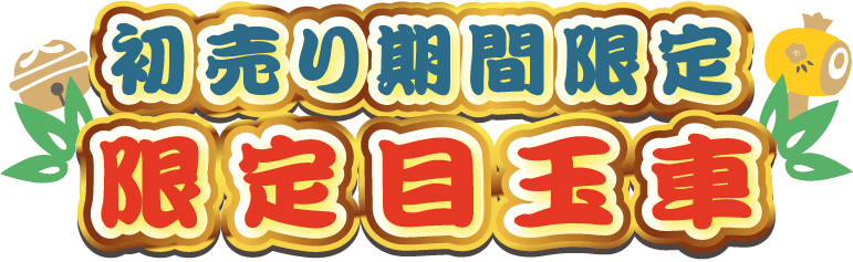 初売り期間限定 限定目玉車