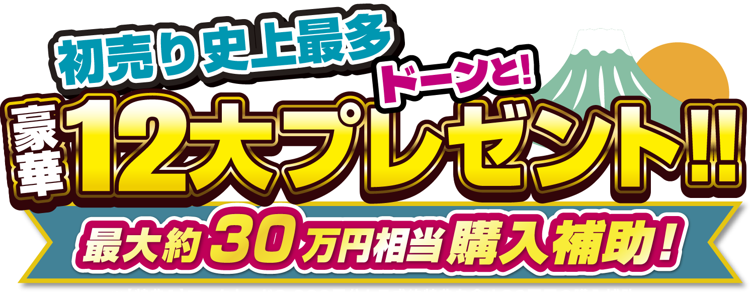 初売り史上最多 豪華12大プレゼント！最大30万円相当購入補助！※【特典1】マックカード3,000円分とご成約特典を含め30万円の購入補助。